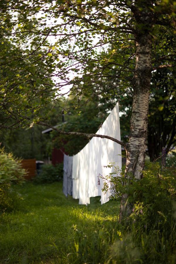 Kolin Mattila B&B Koli  Bagian luar foto