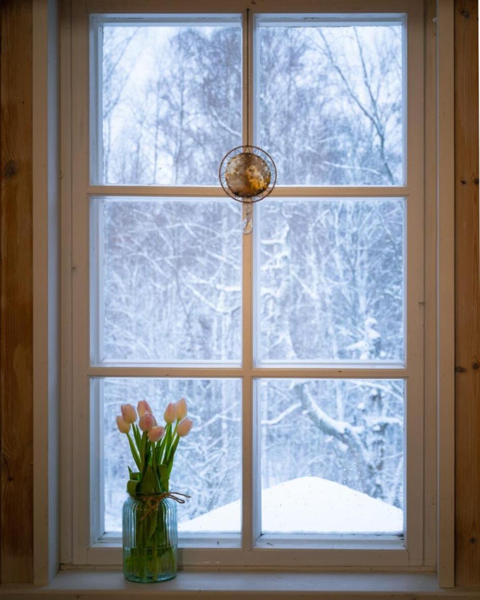 Kolin Mattila B&B Koli  Bagian luar foto
