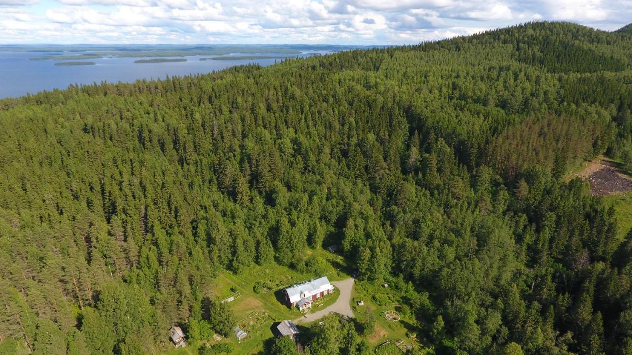 Kolin Mattila B&B Koli  Bagian luar foto