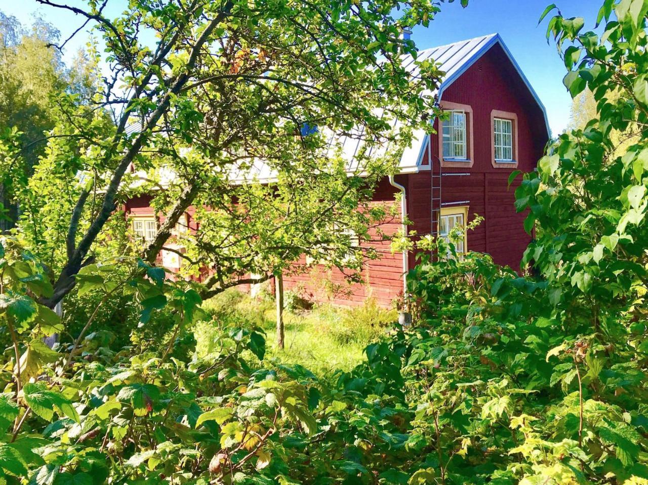 Kolin Mattila B&B Koli  Bagian luar foto
