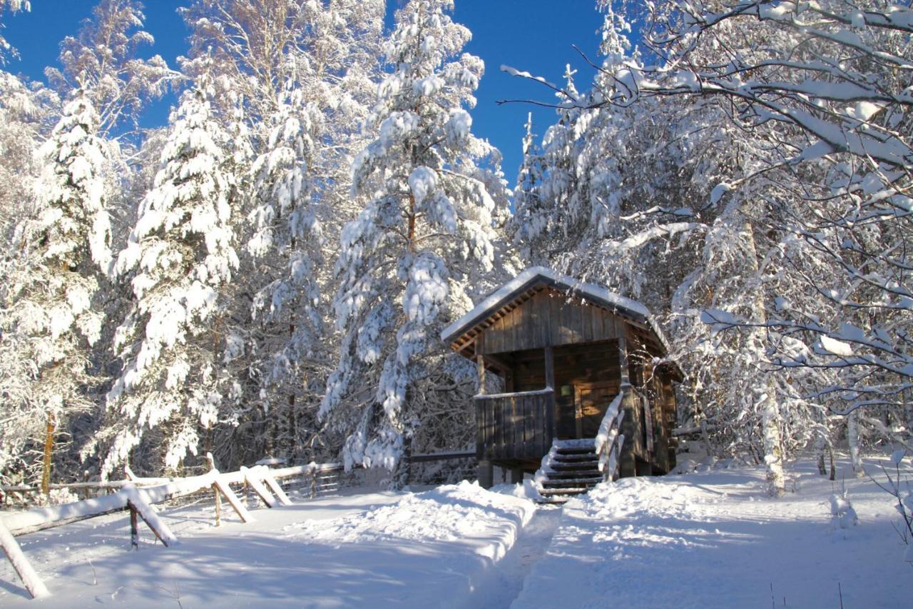 Kolin Mattila B&B Koli  Bagian luar foto