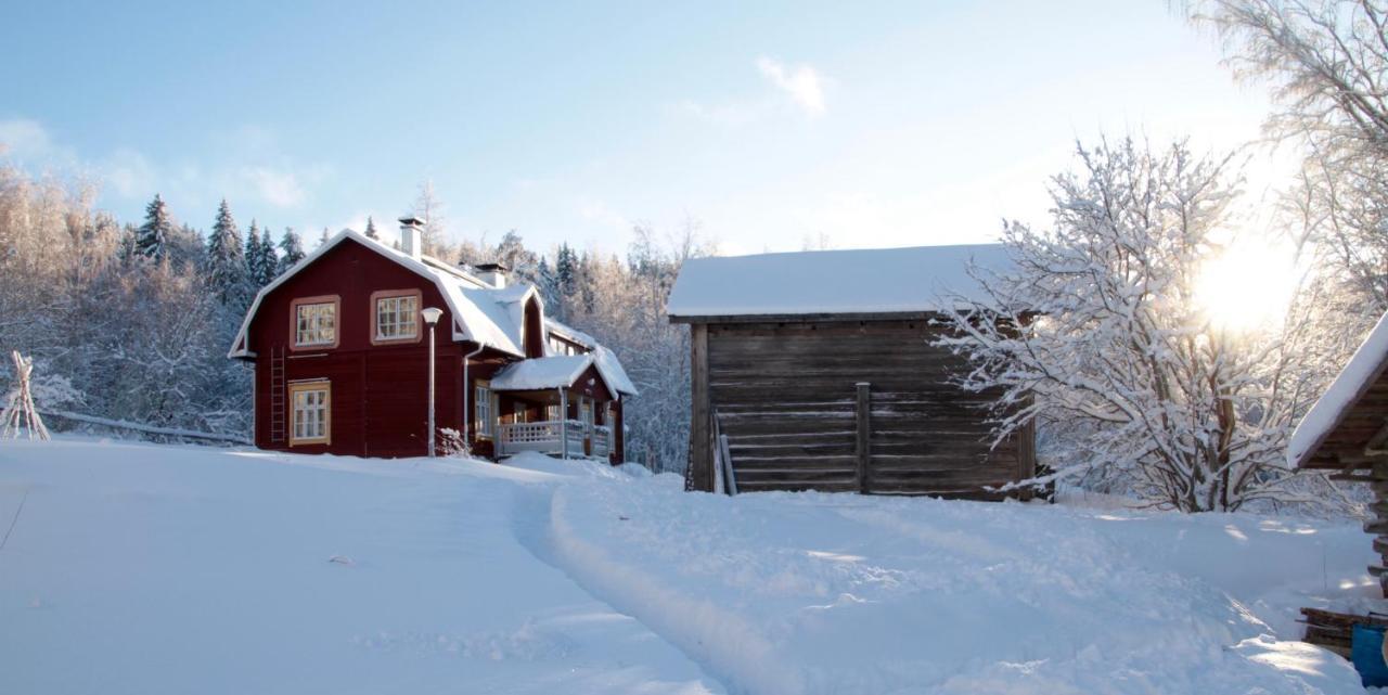 Kolin Mattila B&B Koli  Bagian luar foto