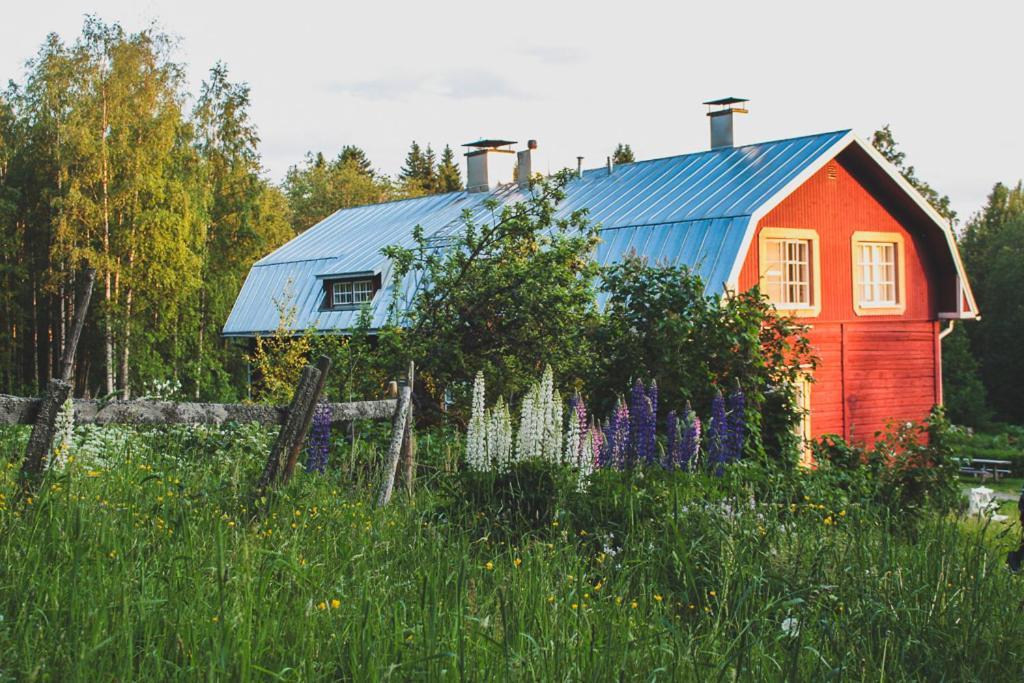 Kolin Mattila B&B Koli  Bagian luar foto